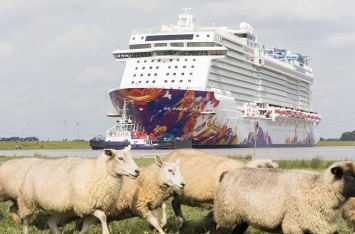 Гигантский круизный лайнер прошел по реке и распугал овец в Германии