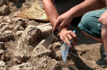 Археологи нашли на Кубани древнегреческую цитадель