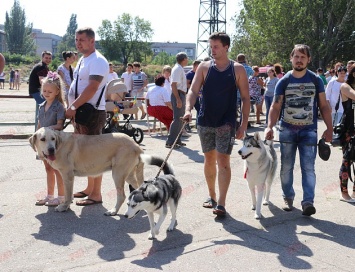 В Бердянске прошла выставка собак всех пород