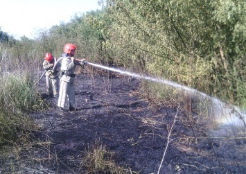 Жара и пожары терзают Луганщину