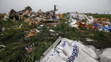 Катастрофа МН-17: Нидерланды выделили колоссальную сумму на суд