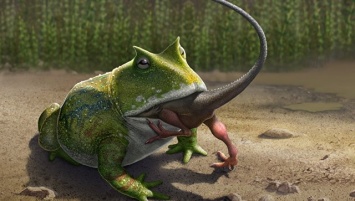 "Дьявольская" лягушка оказалась способна пожирать динозавров