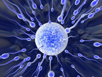 Ученые назвали простой способ повысить мужскую фертильность