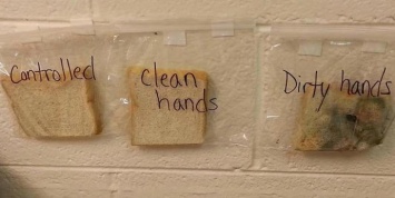 Почему надо мыть руки? Доходчивое объяснение учительницы из США