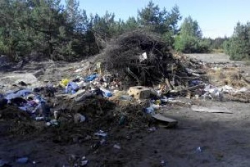 Офицерам-участникам АТО выделили земельные участки на мусорнике, - Тымчук