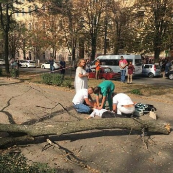 В Украине шквальный ветер валит деревья и электроопоры. Фото