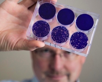 Ученые провели дополнительное исследование лечения рака полиовирусом