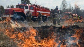 На 24-26 сентября в Крыму объявлена высокая пожароопасность