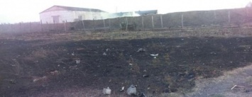 Полиция расследует причины пожара под Новоянисолью (ФОТО)