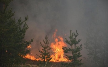 На Днепропетровщине произошло более сотни пожаров