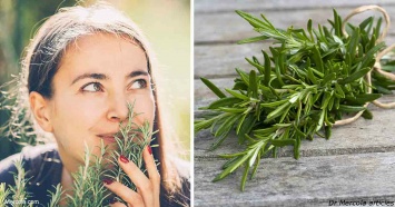 13 доказательств, что эта трава спасет вас от старения мозга и тела