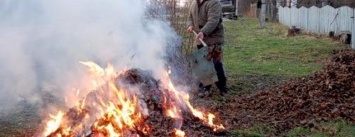 Мариупольцев будут штрафовать за сжигание листвы