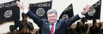 На Украине террористов ИГИЛ объявили "отважными повстанцами"