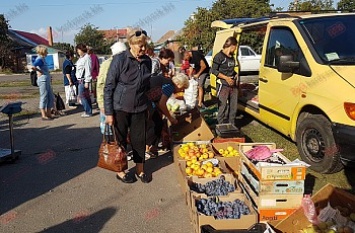 На социальных ярмарках в микрорайонах бердянцы раскупили 7 тонн продуктов