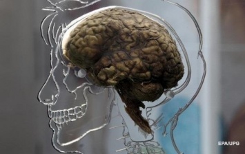 Ученые вернули сознание пациенту с "мертвым" мозгом