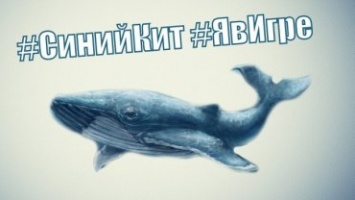 Очередные жертвы "Синего кита" - задержан куратор "групп смерти"