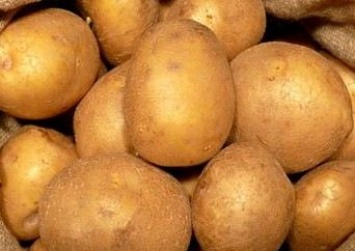 "Вимал" планирует запустить третий завод по производству картофельного крахмала в сентябре 2018г