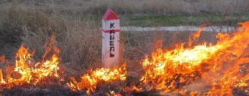 За сжигание листвы предусмотрен штраф 8500 гривен и ограничение свободы
