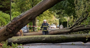 На Германию обрушился шторм «Ксавьер», не менее семи человек погибло