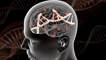Как найти шизофрению в геноме