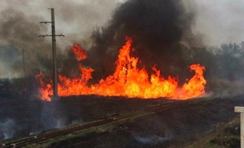 В Запорожской области из-за пожара на железной дороге задержали два поезда