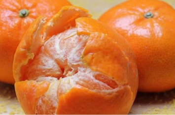 В Украине начался сезон мандаринов: сколько просят за килограмм