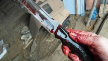 Престарелый житель Запорожской области нанес супруге 14 ножевых ранений