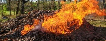 Добропольчан предупреждают: массовое сжигание листвы несет прямую угрозу здоровью