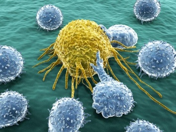 Ученые обнаружили компонент, который убивает злокачественные клетки