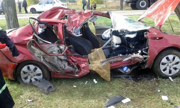 Недалеко от Очакова автомобиль KIA влетел в дерево - в аварии погибла женщина