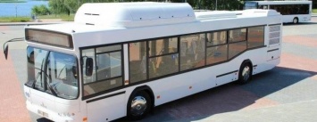 "Модель сырая!", - эксперт сомневается в надежности новых автобусов, закупаемых для Кривого Рога