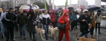 "Стерилизации - да, убийству - нет": в Харькове прошел марш за права животных