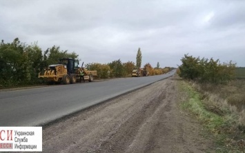 При строительстве трассы "Одесса-Рени" дорожная компания повредила множество деревьев