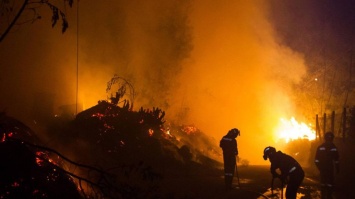 В Испании разгорелись лесные пожары, есть погибшие