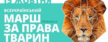 В воскресенье в Одессе можно было выйти за пса, кота и цирковую живность (ФОТО)