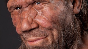 Генетики: не все неандертальцы были голубоглазыми блондинами