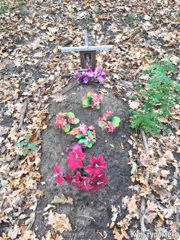 На 411-й батарее одесситы обустроили кладбище для своим любимых питомцев