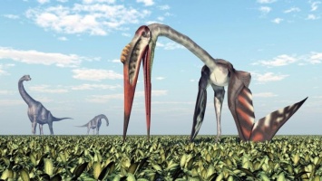 В Монголии нашли останки гигантского летающего динозавра