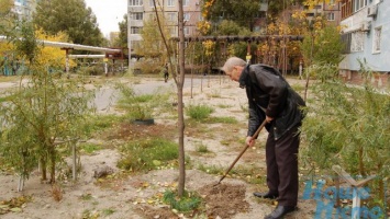 «Я спасал людей, а теперь спасаю деревья»: житель Днепра вырастил кленовую аллею