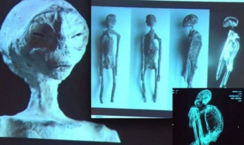 Найденных в Перу «инопланетян» признали настоящими (фото, видео)