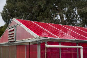 В Калифорнии создали теплицы с солнечными батареями