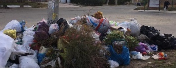 Обстановка с мусором в Херсоне ухудшается самими горожанами