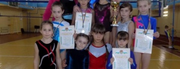 Юные гимнасты из Северодонецка оказались лучшими среди юниоров области