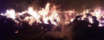 В Бердянском районе на территории частного двора произошел пожар