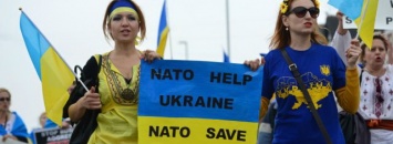 Украине пора закрыть рот и не вспоминать о НАТО - Литвин