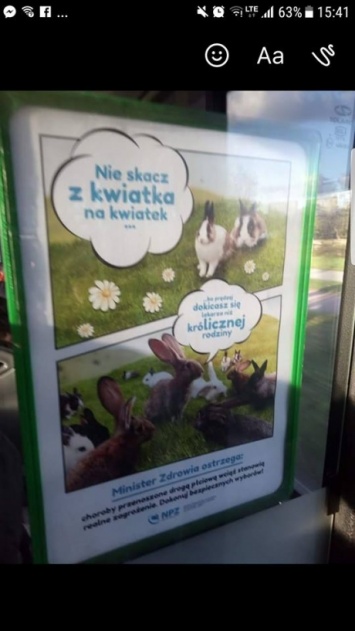 В Польше смеются над министерством, которое посоветовало полякам брать пример с кроликов