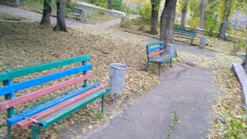 «Печальный Николаев»: Из парка на Сухом фонтане похитили мусорные урны