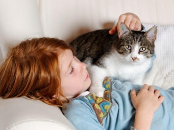 Кошки защищают маленьких детей от астмы гораздо лучше собак