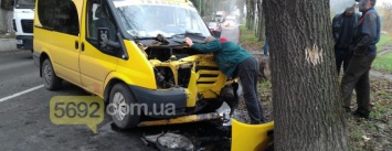 ДТП в Каменском: Ford Transit врезался в дерево
