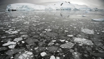 НАСА: подо льдами Антарктики существует гигантское озеро из магмы